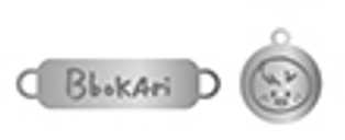 Stray Kids Karma SKZOO CEREMONY NECKLACE